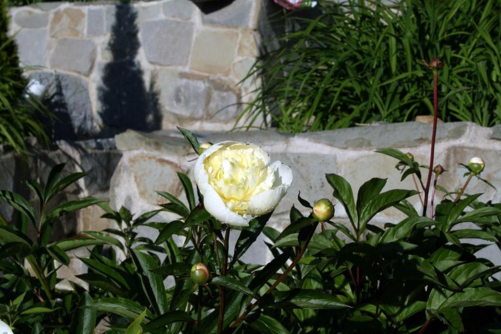 Lilla Huset Pa Slaetten B&B Λουντ Εξωτερικό φωτογραφία